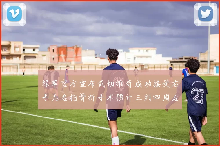 绿军官方宣布武切维奇成功接受右手无名指骨折手术预计三到四周后复查