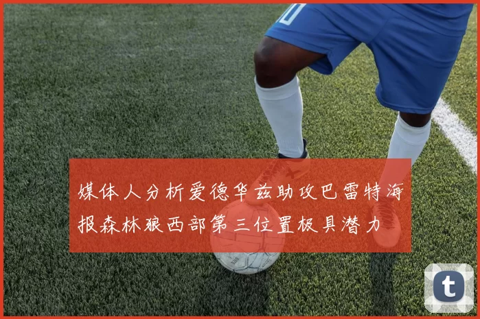 媒体人分析爱德华兹助攻巴雷特海报森林狼西部第三位置极具潜力